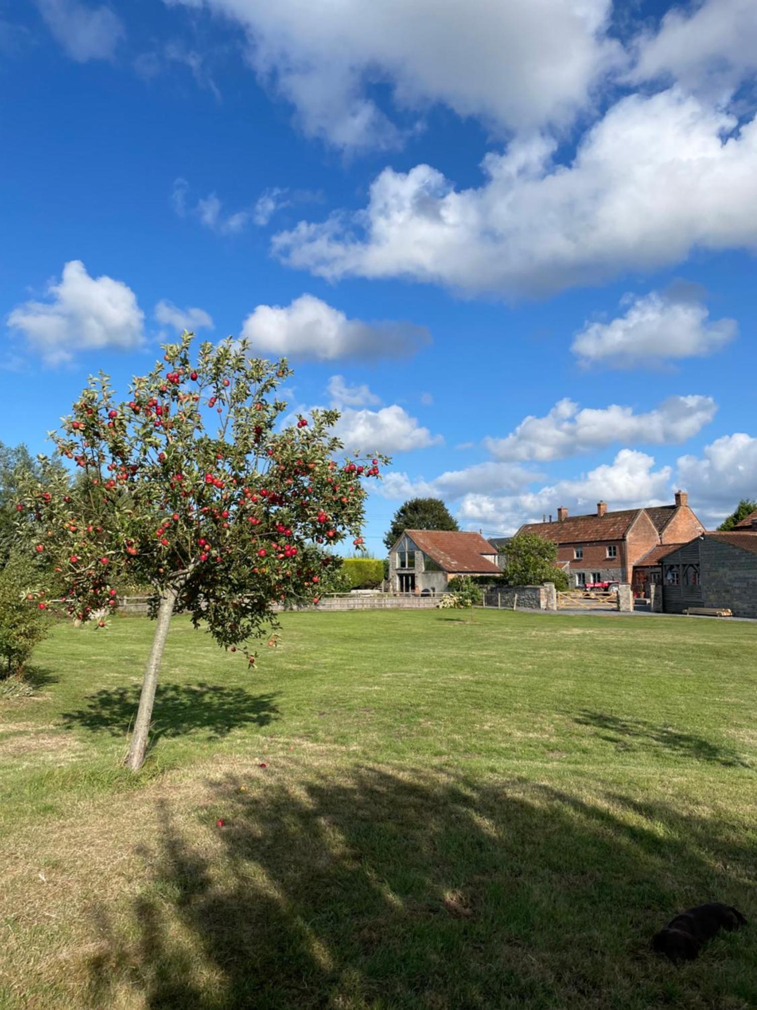 Villa The Hayloft At Stathe Farm Bridgwater Esterno foto
