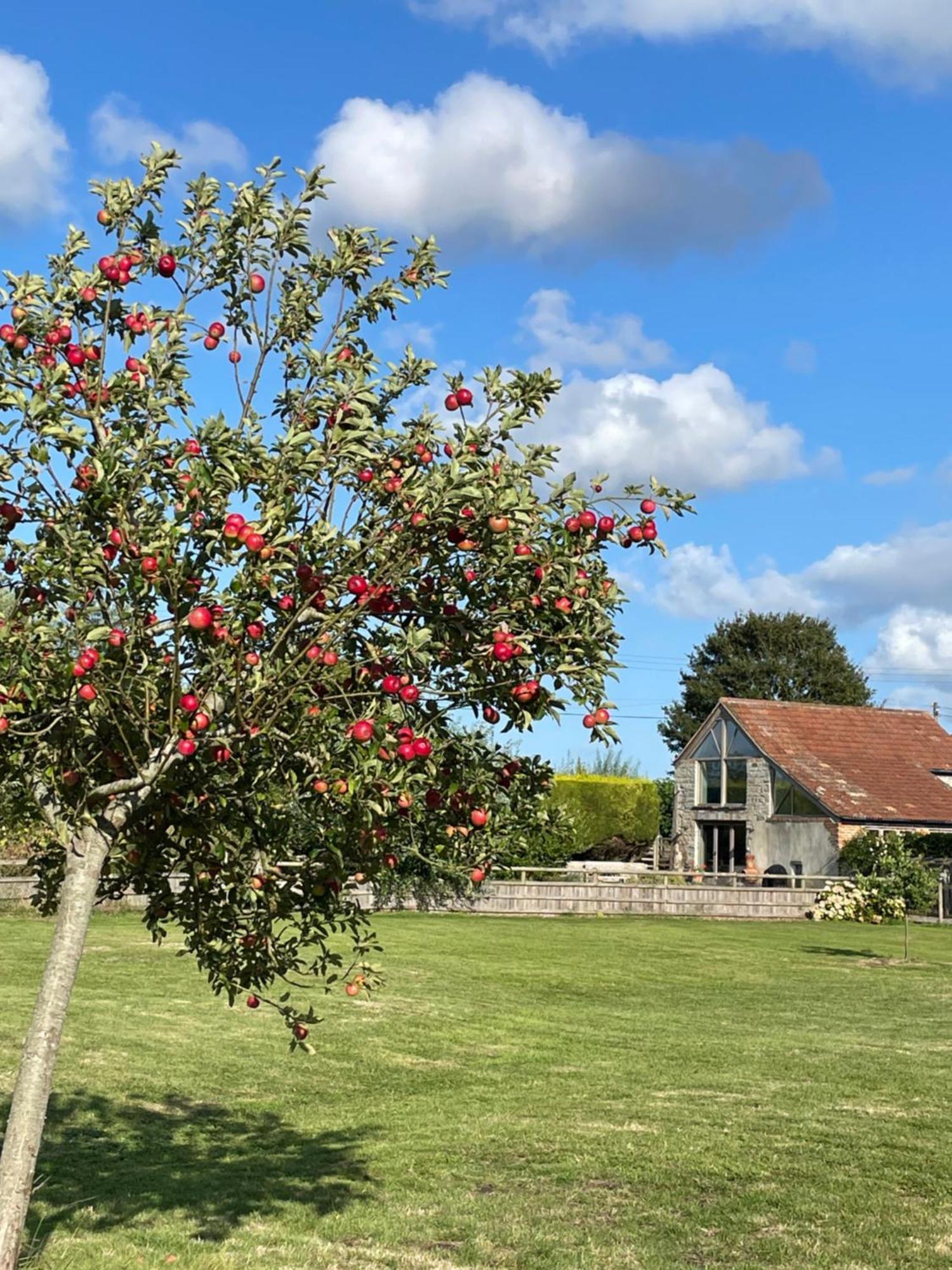Villa The Hayloft At Stathe Farm Bridgwater Esterno foto